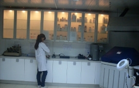 Laboratuvar Hizmetleri