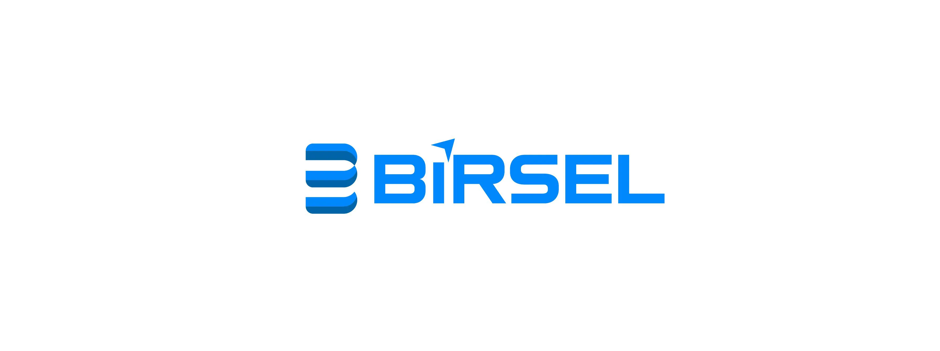 Birsel Savunma Sistemleri San. ve Tic. Ltd. Şti.